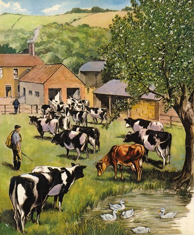 酪農場、イギリス、1960年代 作： English School